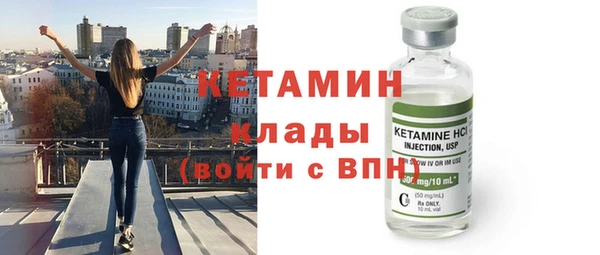 прущие грибы Вязьма