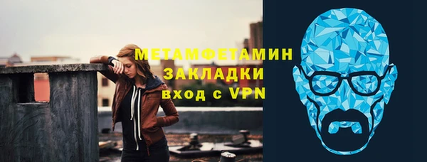 прущие грибы Вязьма