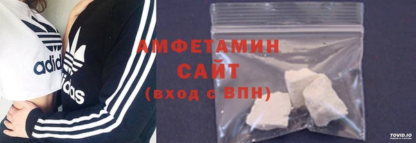 прущие грибы Вязьма