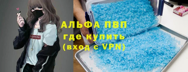 прущие грибы Вязьма