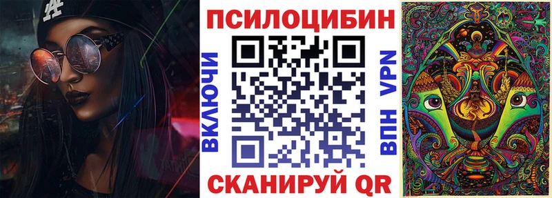 Псилоцибиновые грибы Psilocybe  Купить  Энем 
